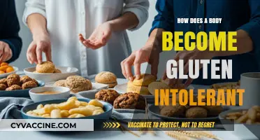 Unraveling the Mystery: How Gluten Intolerance Develops in the Body