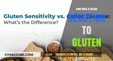 Unraveling the Mysteries of Celiac Disease: A Gluten Reaction Explained