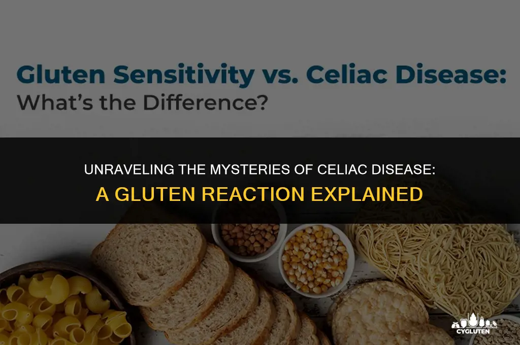 how does a celiac reaction to gluten