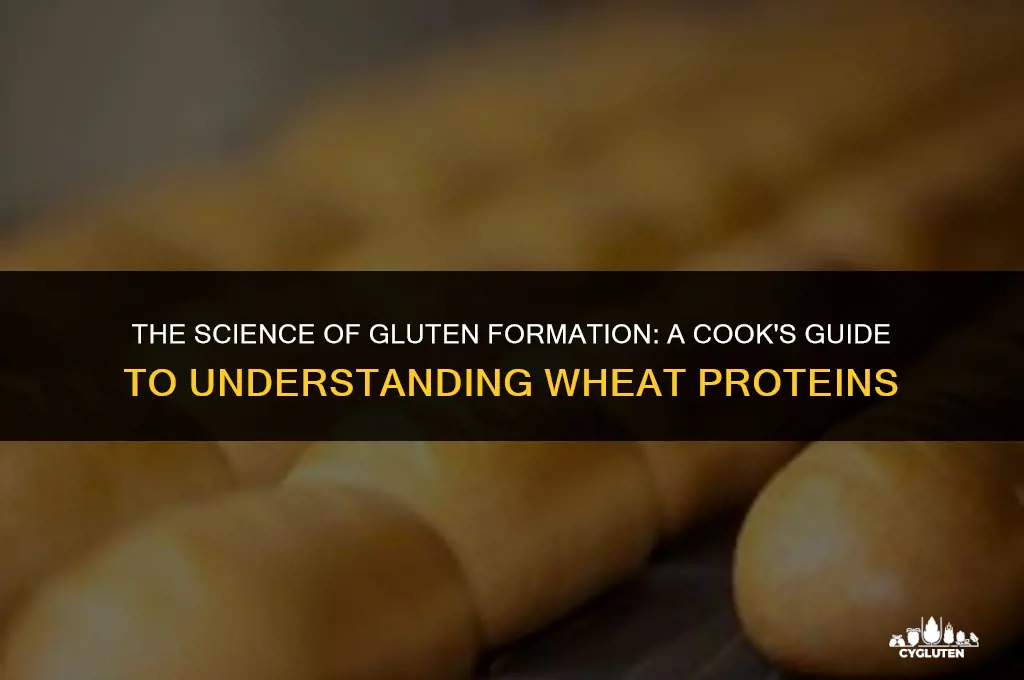 how does a cook cause gluten to form