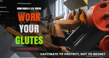 Sculpting Strong Glutes: The Power of Leg Press Exercises