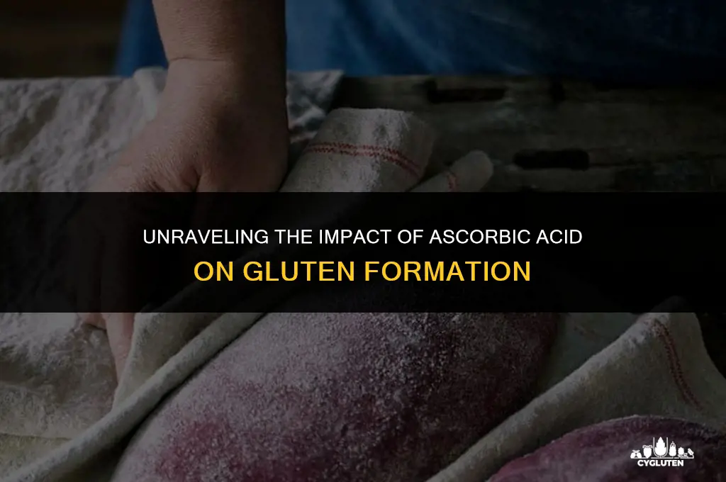 how does ascorbic acid affect gluten development
