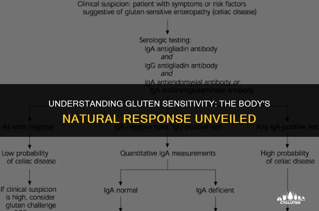 how does body normally respond to gluten
