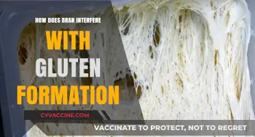 Unlocking the Secrets: How Bran Impacts Gluten Formation in Baking