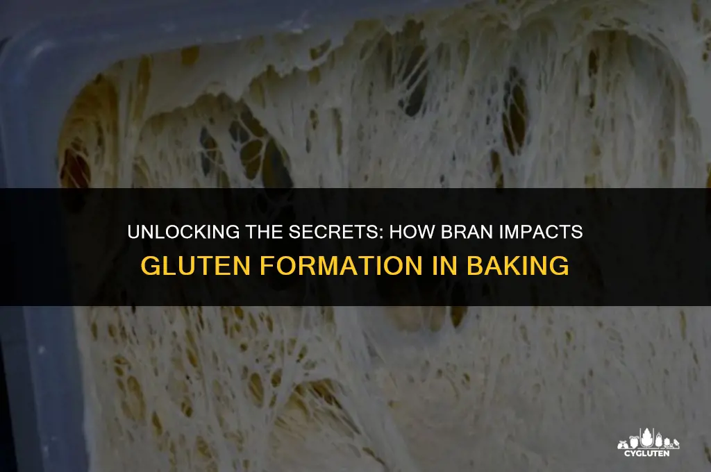 how does bran interfere with gluten formation