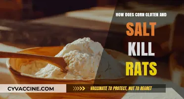 The Lethal Effects of Corn Gluten and Salt on Rats