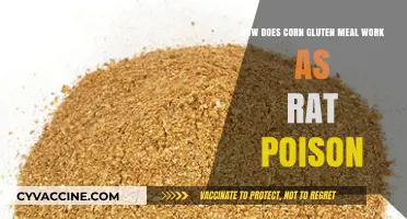 The Lethal Effects of Corn Gluten Meal on Rats Explained