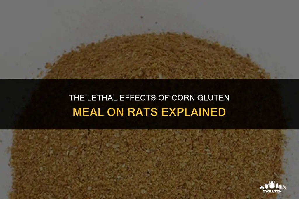 how does corn gluten meal work as rat poison
