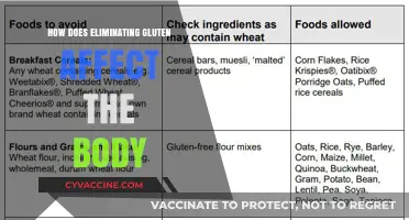 Exploring the Impact of a Gluten-Free Diet on Your Health