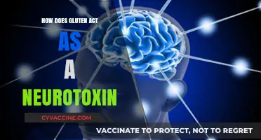 Unveiling the Hidden Dangers: Gluten's Neurotoxic Effects Explored