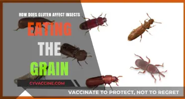 Unveiling the Impact of Gluten on Grain-Eating Insects