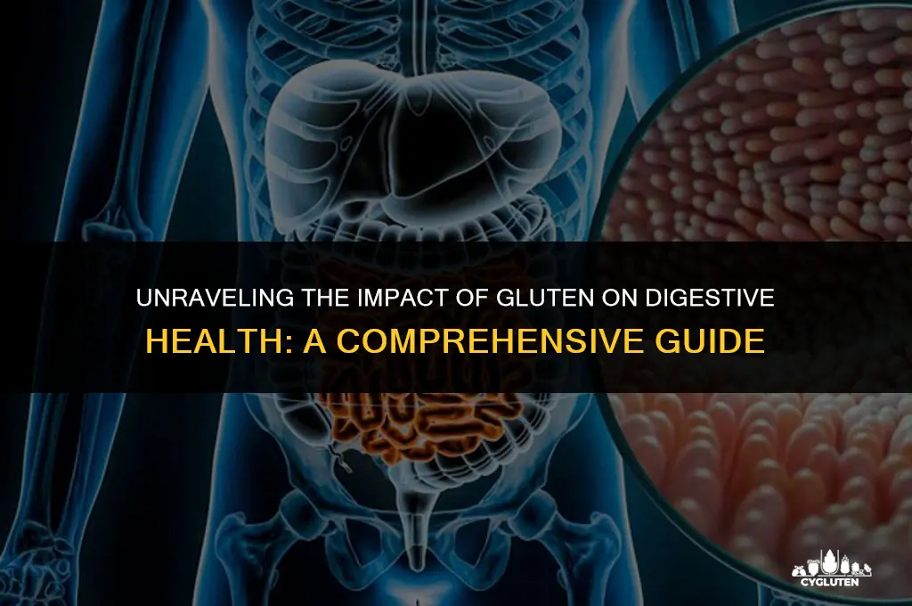 how does gluten affect the digestive system