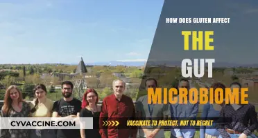 Unveiling the Impact of Gluten on Your Gut Microbiome