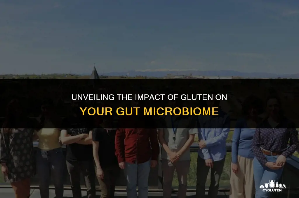 how does gluten affect the gut microbiome