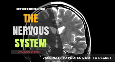 Unraveling the Impact of Gluten on Nervous System Health