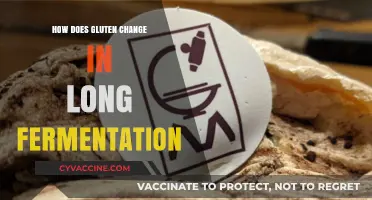 Unlocking the Secrets: Gluten's Transformation in Long Fermentation