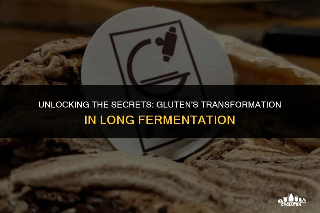 how does gluten change in long fermentation