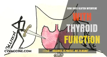 Unveiling the Connection: Gluten's Impact on Thyroid Function Explained