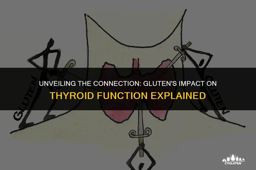 how does gluten interfere with thyroid function