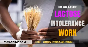 Understanding Gluten and Lactose Intolerance: A Comprehensive Guide
