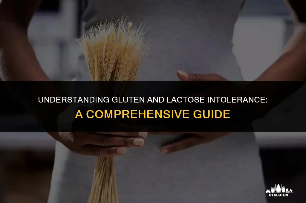 how does gluten or lactose intolerance work
