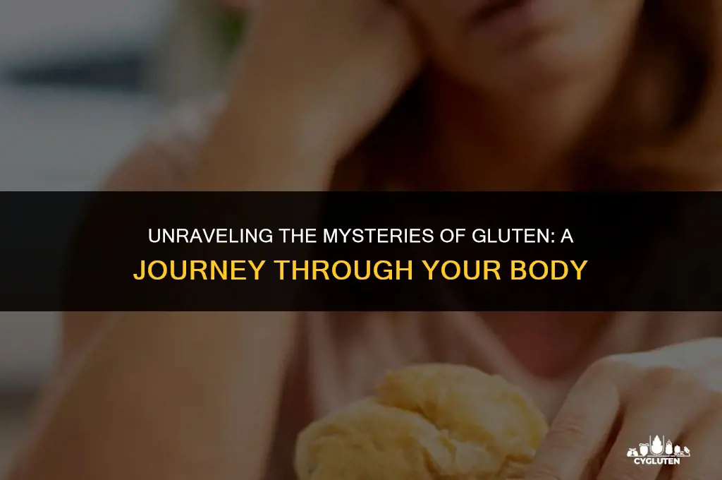 how does gluten work in the body