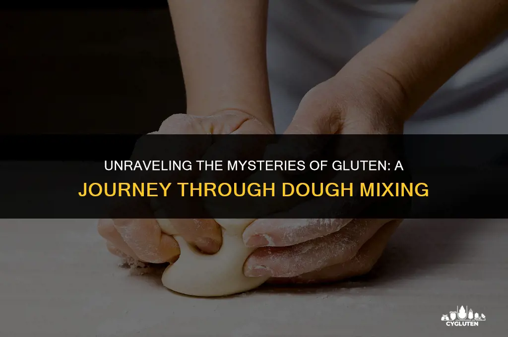 how does gluten work when dough is mixed