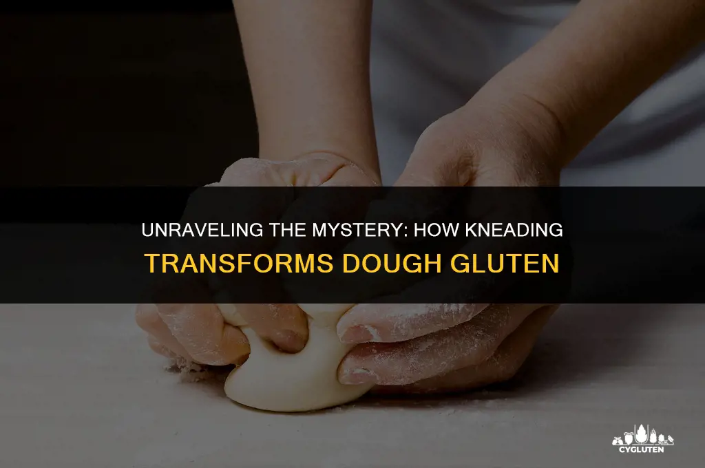 how does kneading affect the dough gluten