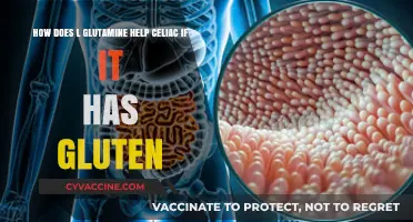 Gluten-Free Benefits: How L-Glutamine Supports Celiac Health