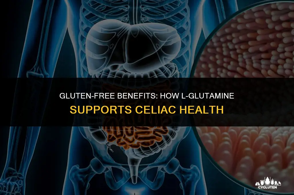 how does l glutamine help celiac if it has gluten