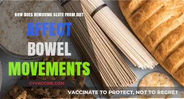 Impact of Glute-Free Diets on Bowel Movements: A Comprehensive Guide