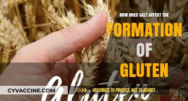 Unraveling the Mystery: Salt's Impact on Gluten Formation