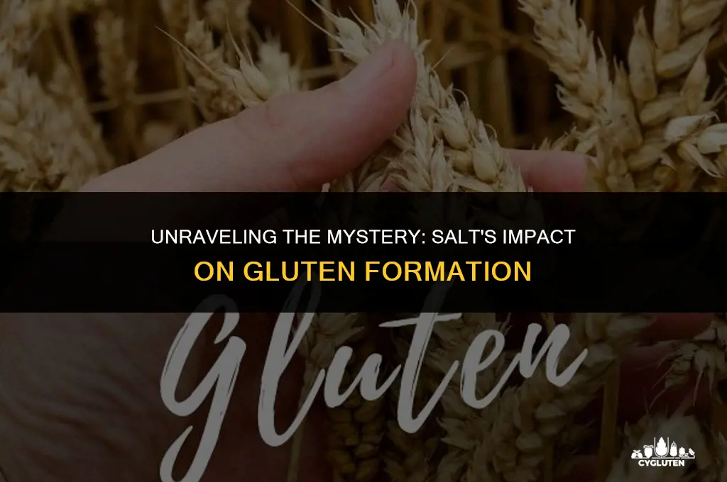 how does salt affect the formation of gluten