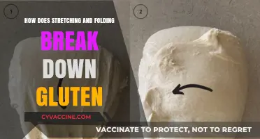 Unraveling the Mystery: How Stretching and Folding Break Down Gluten