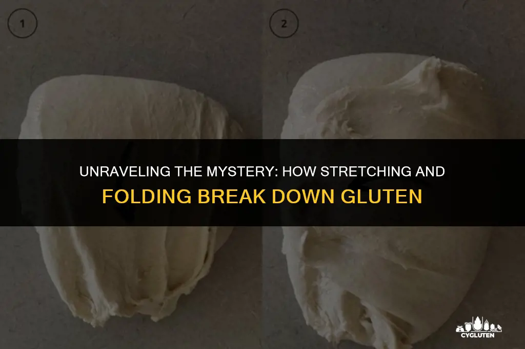 how does stretching and folding break down gluten