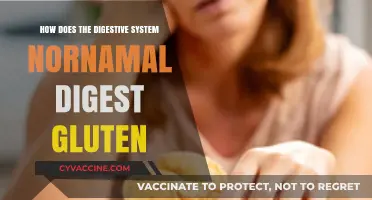 Unraveling the Mystery: How Our Digestive System Normally Digests Gluten