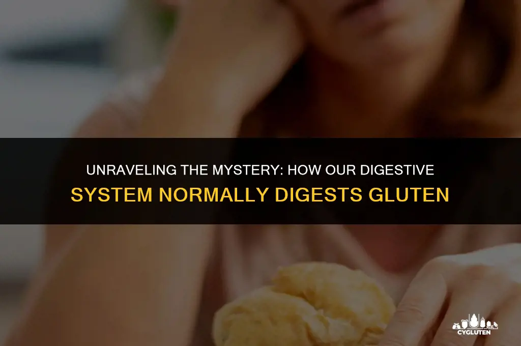 how does the digestive system nornamal digest gluten