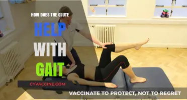 Unlocking the Power of Your Glutes for a Better Gait