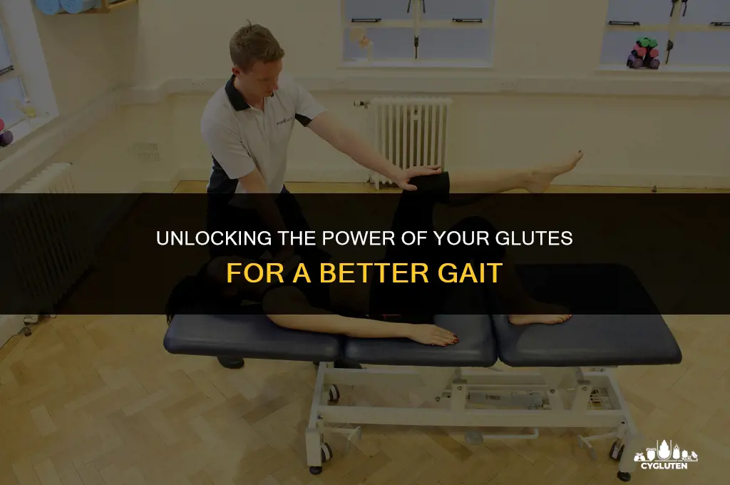 how does the glute help with gait