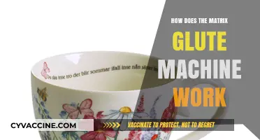 Unraveling the Mechanics of the Matrix Glute Machine: A Comprehensive Guide