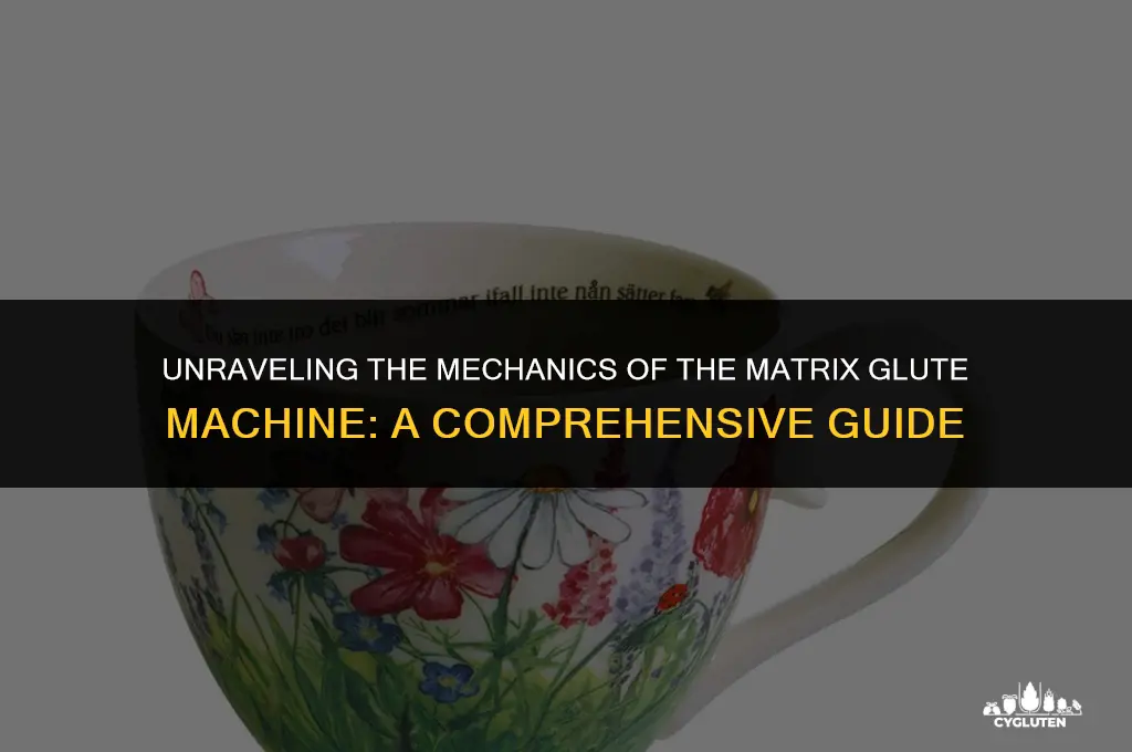 how does the matrix glute machine work