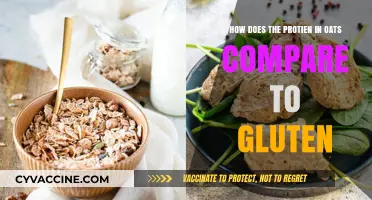 Comparing Oat Protein to Gluten: A Nutritional Showdown