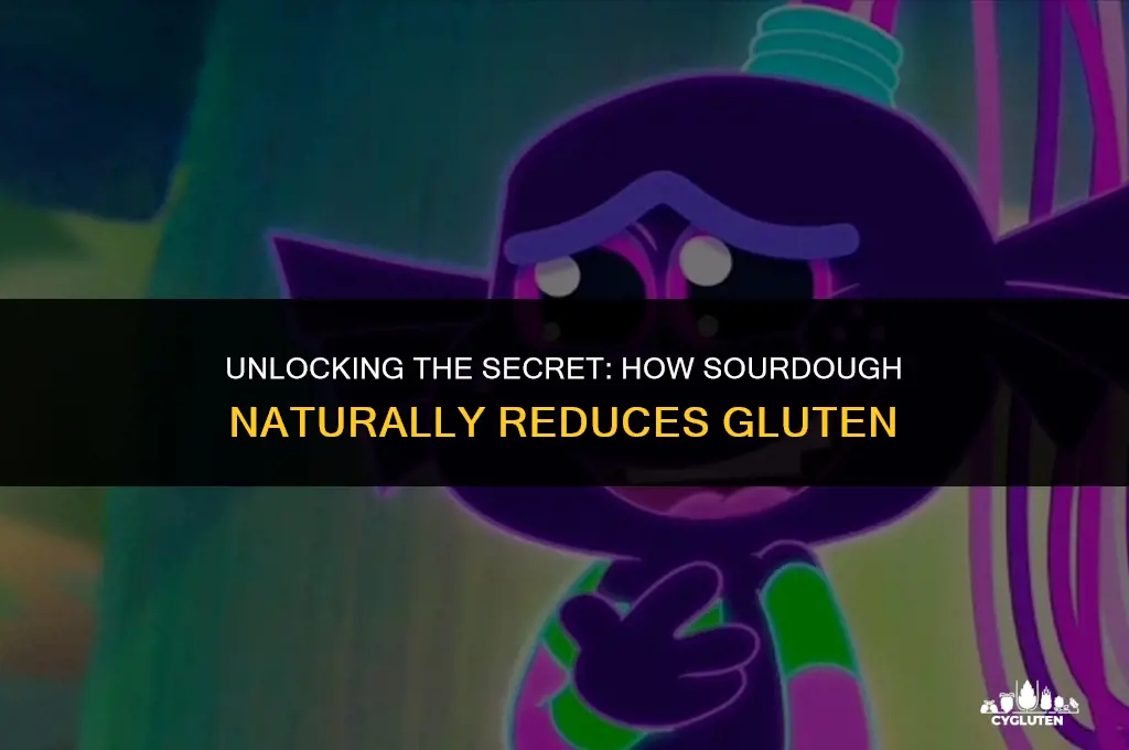 how does the sour dough process get rid of gluten