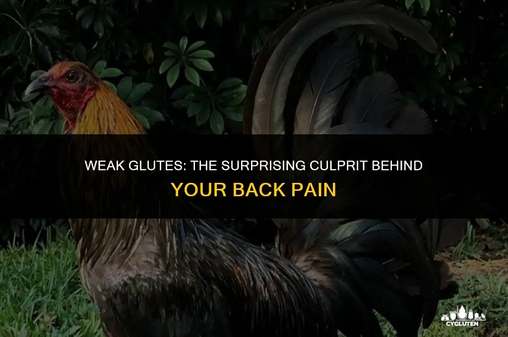 how does weak glute cause back pain