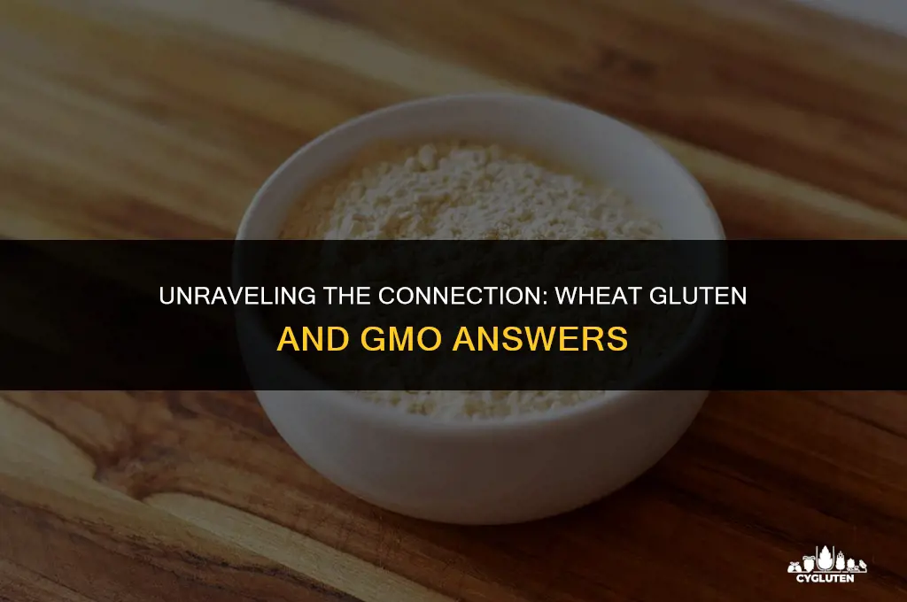 how does wheat gluten relate to gmo gmo answers