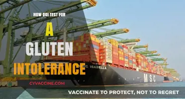 Discovering Gluten Intolerance: A Comprehensive Testing Guide