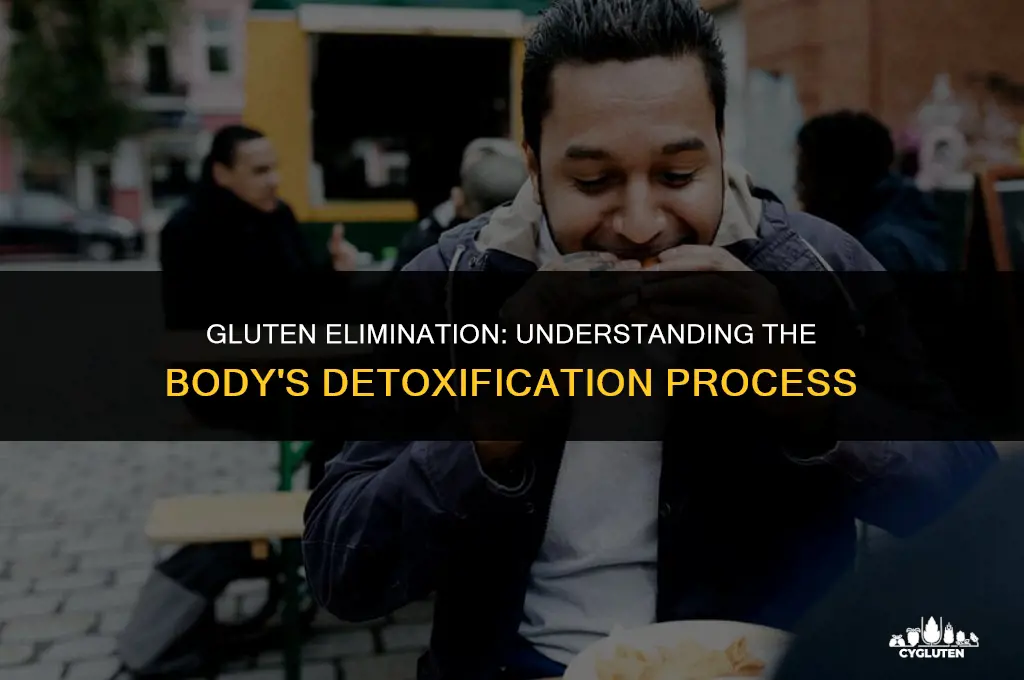 how fast does gluten leave the body