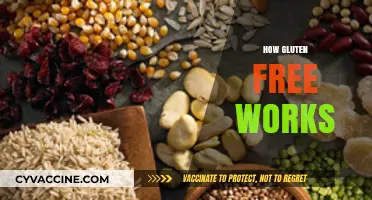 Understanding Gluten-Free Diets: How They Work and Why They Matter