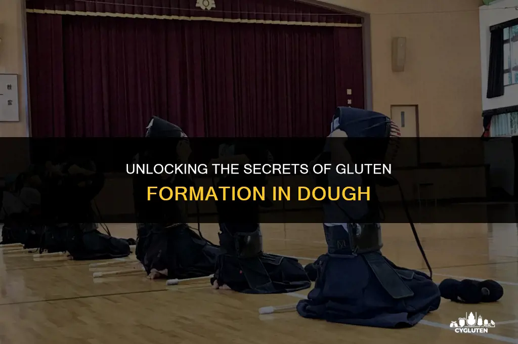 how gluten is formed in the dough