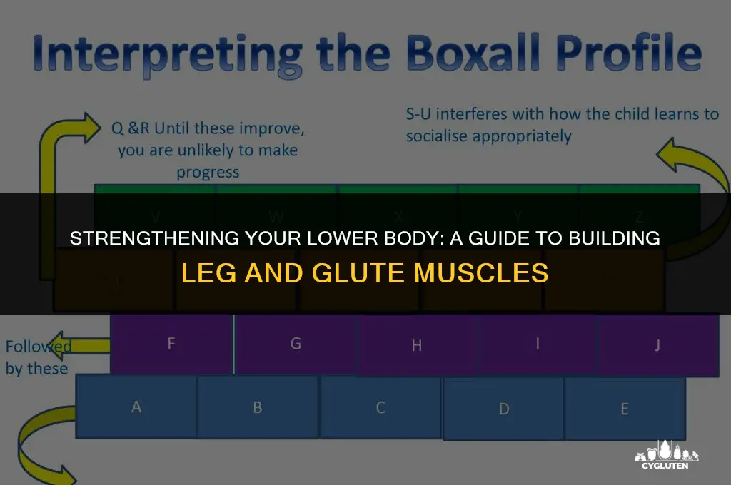 how go build leg and glut muscles